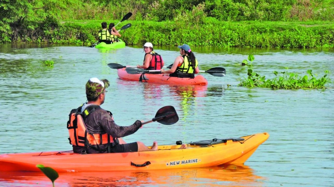 Santa Fe invita a palear sus humedales: la laguna Setúbal se abre al kayak desde Arroyo Leyes