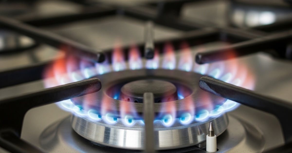 La factura eléctrica del AMBA superó los $58.000 en agosto y el subsidio se volvió una línea de pobreza energética