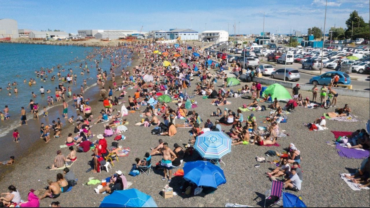 Comodoro Rivadavia se prepara para una temporada clave de avistaje de ballenas sei a partir de febrero de 2027