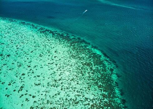 San Pedro, la puerta del Caribe beliceño para recorrer el arrecife más grande del hemisferio norte