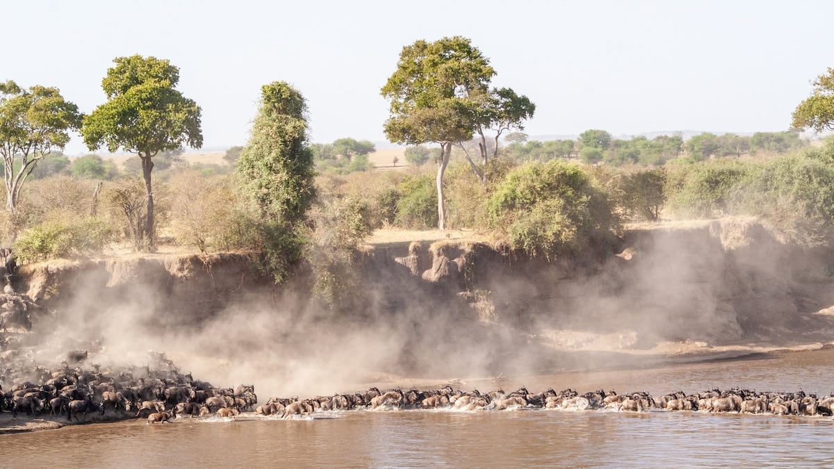 Sabana, cráter y comunidades: tres parques y dos etnias en el circuito norte de Tanzania