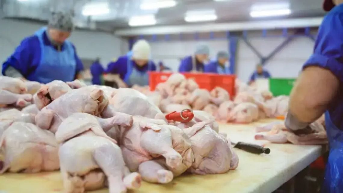 Cuarenta y siete kilos de pollo por persona: cuando el bolsillo empuja la dieta