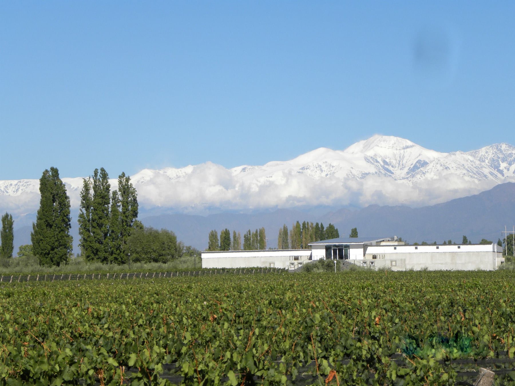 Chacras de Coria se consolida como destino vitivinícola, hotelero y gastronómico a la sombra de la cordillera