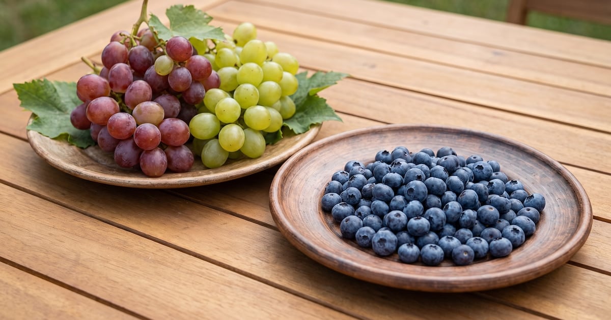 Arándanos o uvas: qué fruta sube menos la glucosa y por qué la fibra es la clave que marca la diferencia