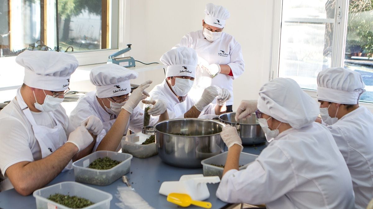 Mermeladas neuquinas nacidas en una chacra y hechas por jóvenes con discapacidad se consagraron en un concurso en Inglaterra