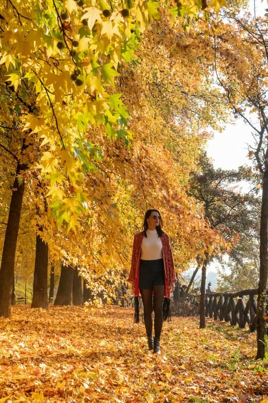 El otoño europeo cambia el ritmo de las capitales y abre una nueva temporada de visitas