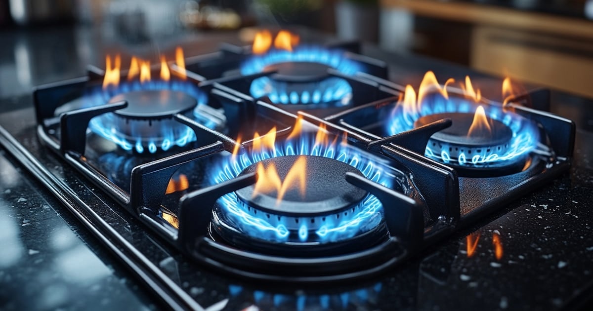 El Decreto 1266/2026 reduce el subsidio al gas en 3,35 millones de hogares